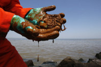 BP oil spill picnik.jpg